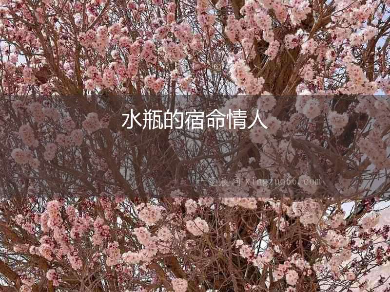 水瓶的宿命情人
