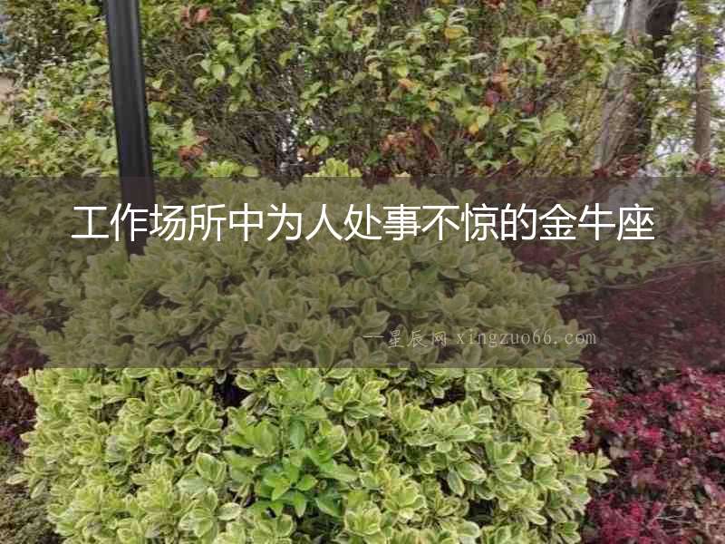 工作場所中為人處事不驚的金牛座