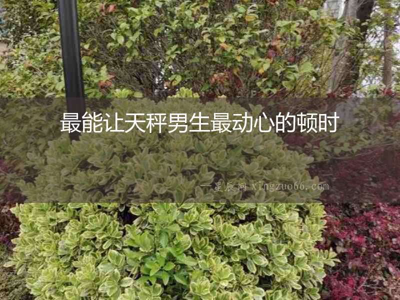 最能讓天秤男生最動心的頓時