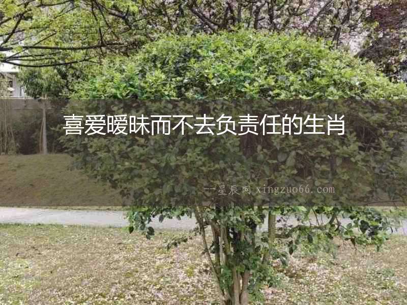 喜愛曖昧而不去負(fù)責(zé)任的生肖