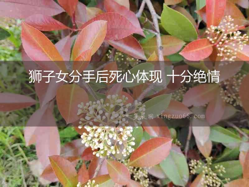 獅子女分手后死心體現 十分絕情