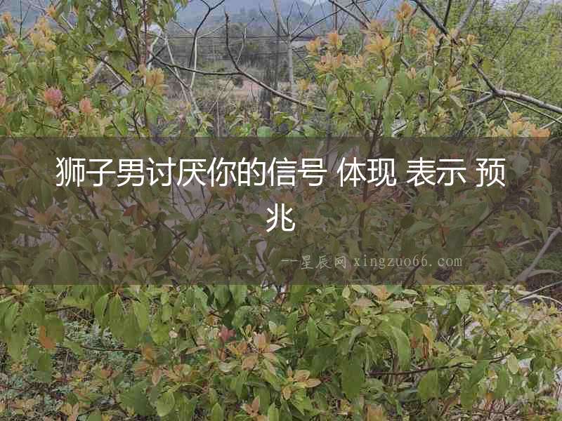 獅子男討厭你的信號 體現 表示 預兆