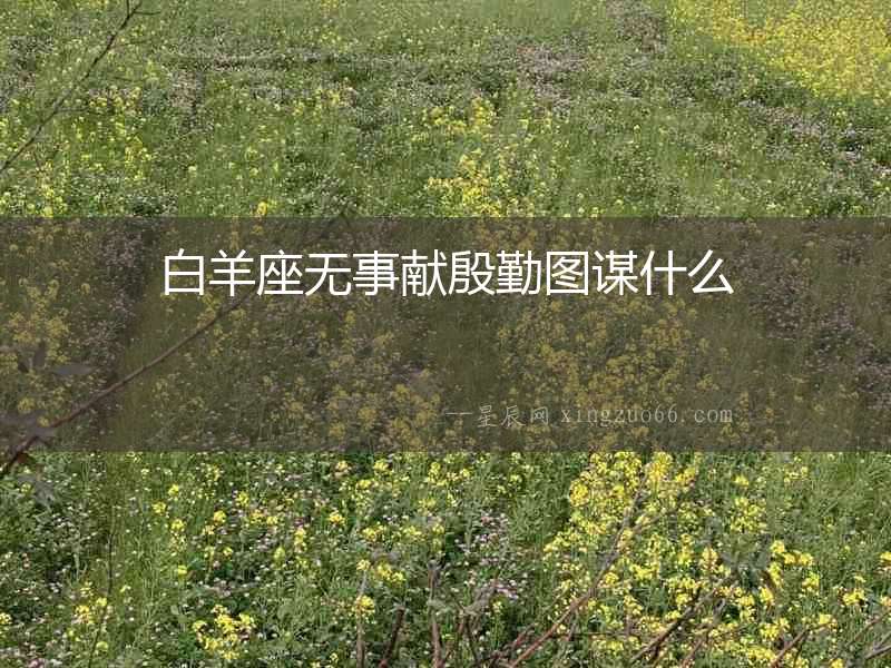 白羊座無事獻殷勤圖謀什么