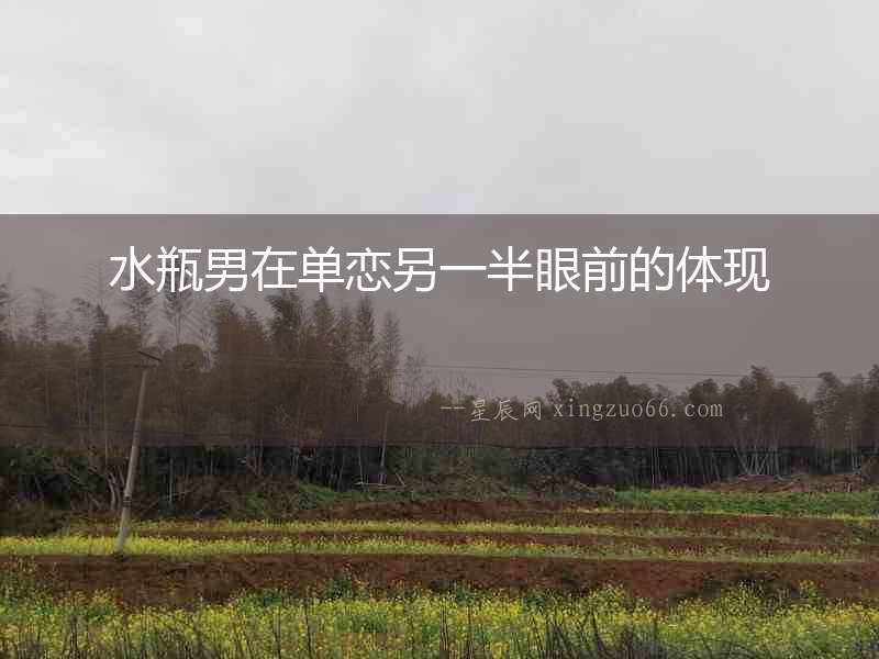 水瓶男在單戀另一半眼前的體現