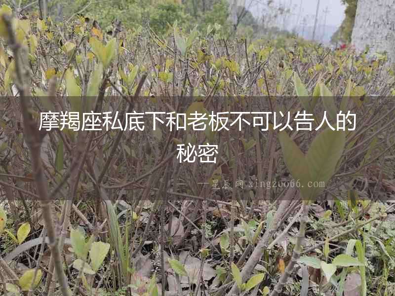 摩羯座私底下和老板不可以告人的秘密