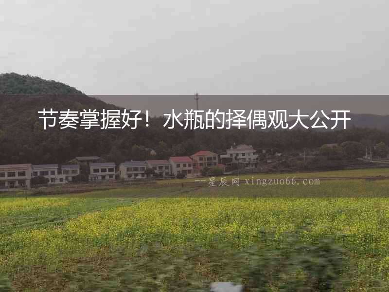 節奏掌握好！水瓶的擇偶觀大公開