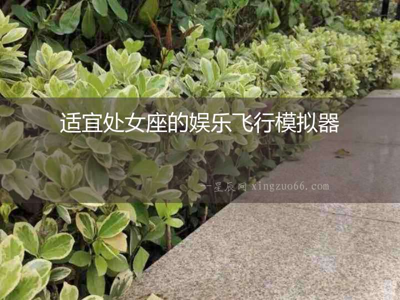 適宜處女座的娛樂飛行模擬器