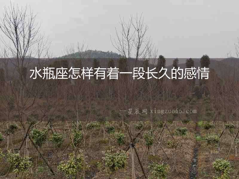 水瓶座怎樣有著一段長久的感情