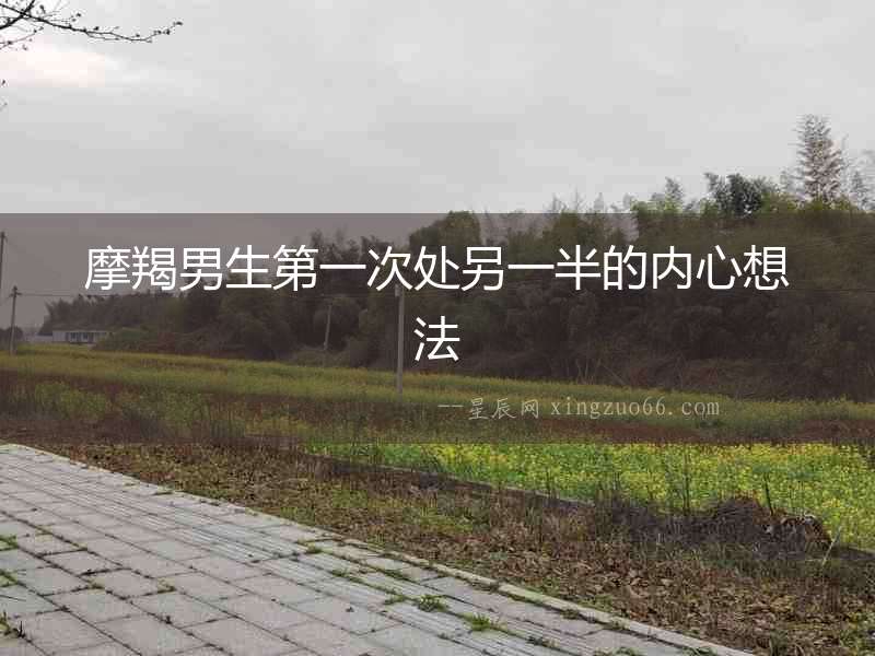 摩羯男生第一次處另一半的內心想法