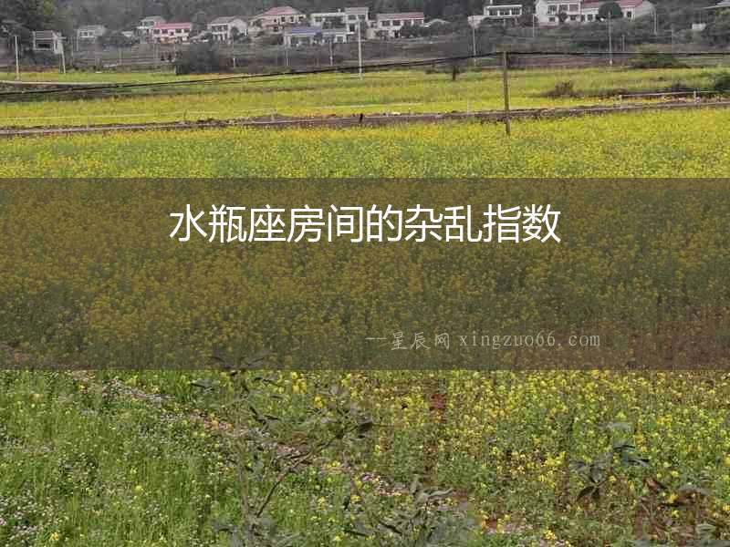 水瓶座房間的雜亂指數