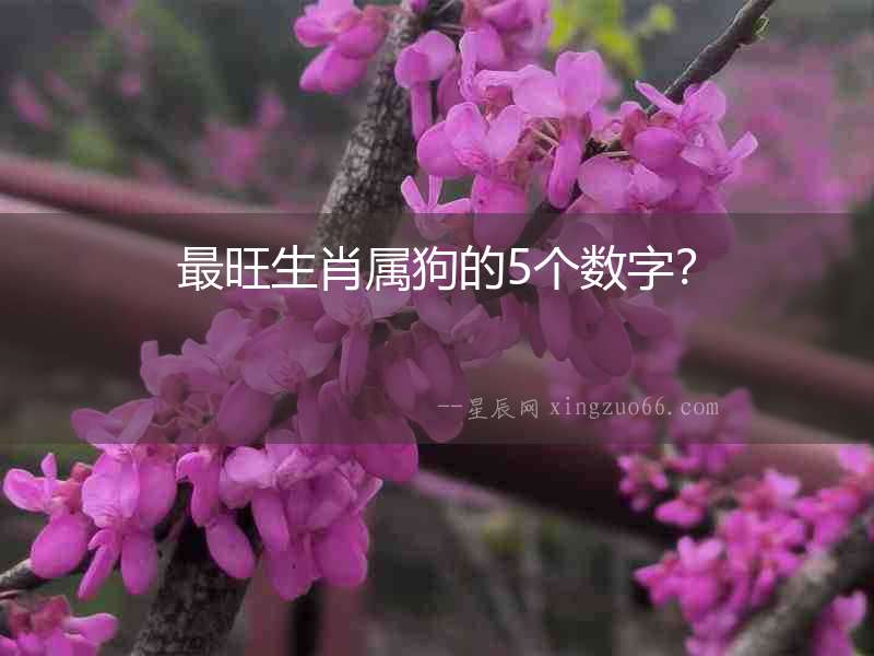 最旺生肖屬狗的5個數字？