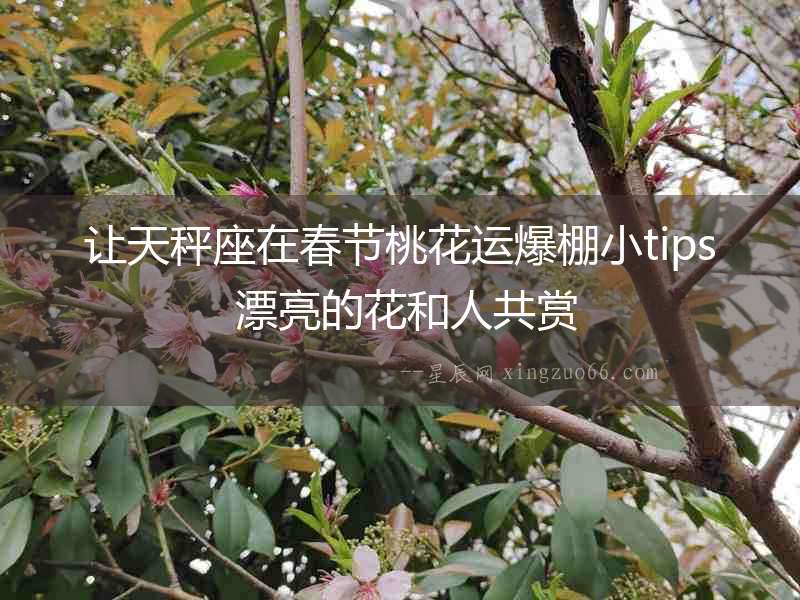 讓天秤座在春節桃花運爆棚小tips 漂亮的花和人共賞