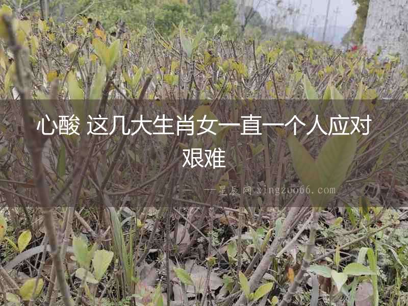 心酸 這幾大生肖女一直一個人應對艱難