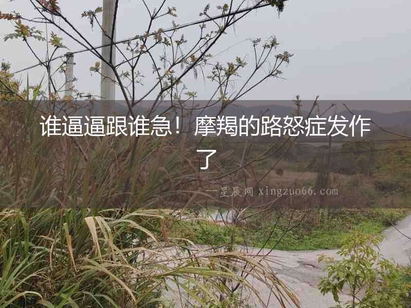 誰逼逼跟誰急！摩羯的路怒癥發(fā)作了