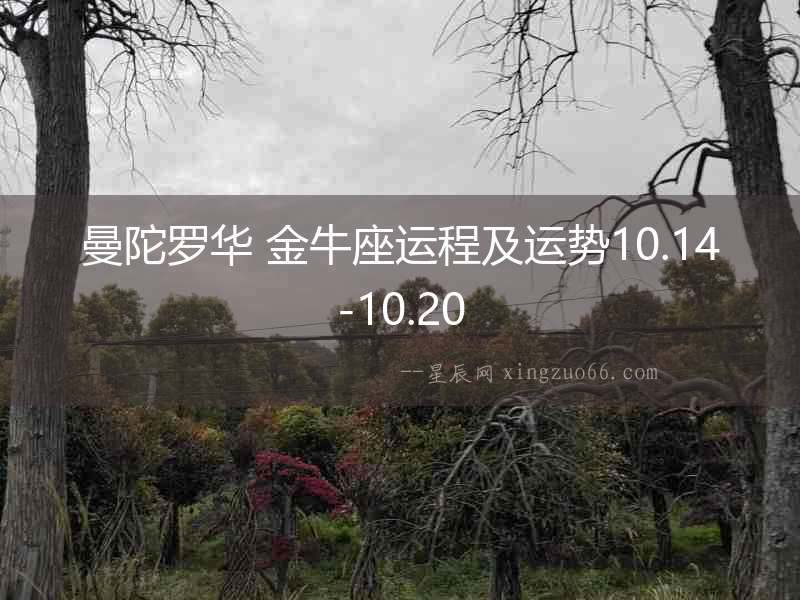 曼陀羅華 金牛座運程及運勢10.14-10.20