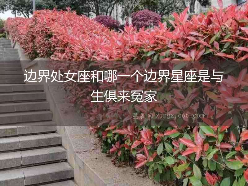 邊界處女座和哪一個邊界星座是與生俱來冤家