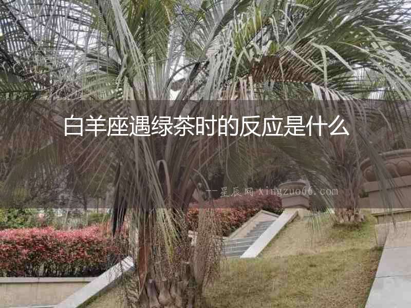 白羊座遇綠茶時的反應是什么