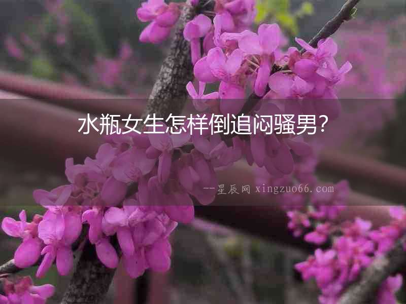 水瓶女生怎樣倒追悶騷男？