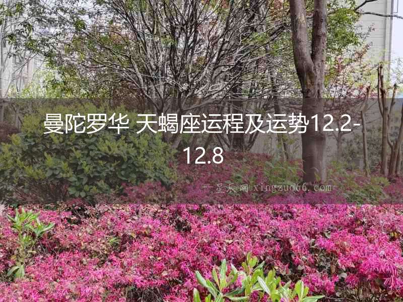 曼陀羅華 天蝎座運(yùn)程及運(yùn)勢(shì)12.2-12.8