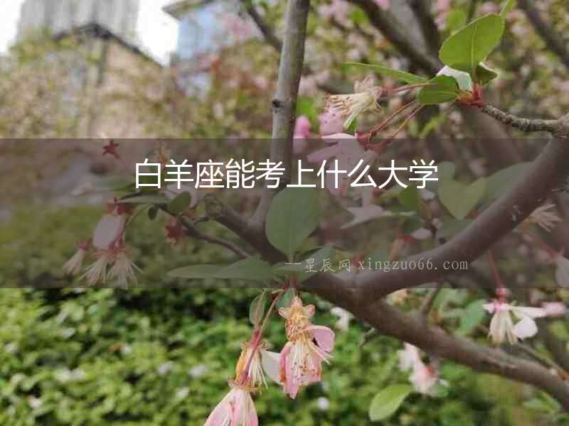 白羊座能考上什么大學(xué)