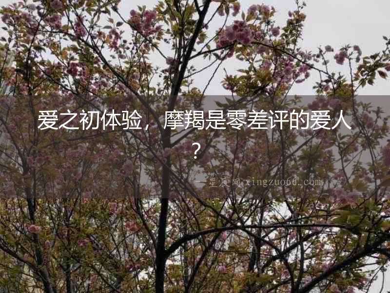 愛之初體驗，摩羯是零差評的愛人？