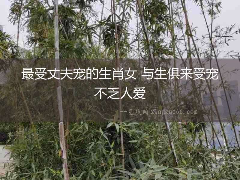 最受丈夫?qū)櫟纳づ?與生俱來受寵不乏人愛
