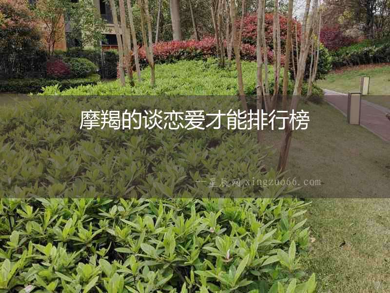 摩羯的談戀愛才能排行榜