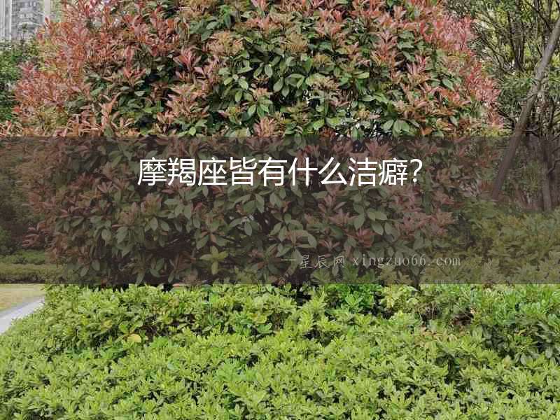 摩羯座皆有什么潔癖？
