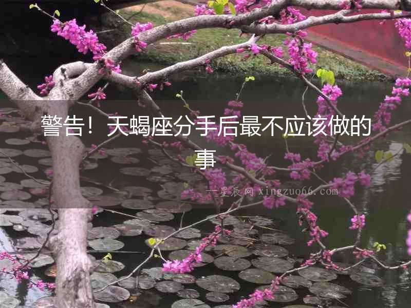 警告！天蝎座分手后最不應(yīng)該做的事