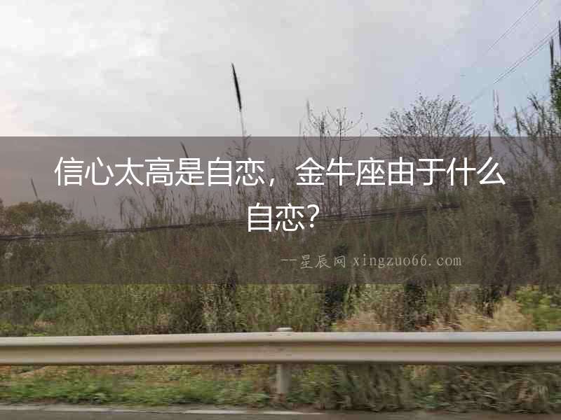 信心太高是自戀，金牛座由于什么自戀？