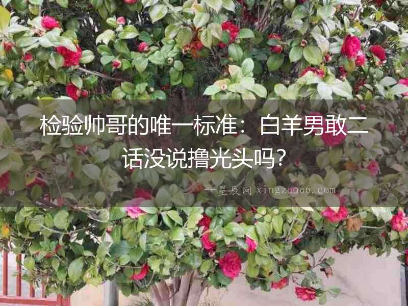 檢驗帥哥的唯一標準：白羊男敢二話沒說擼光頭嗎？