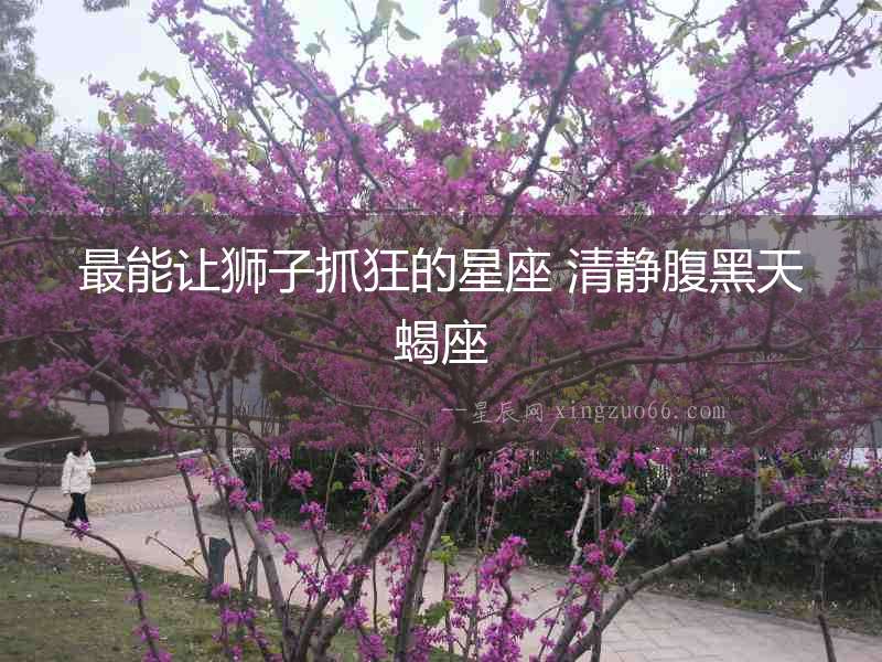 最能讓獅子抓狂的星座 清靜腹黑天蝎座