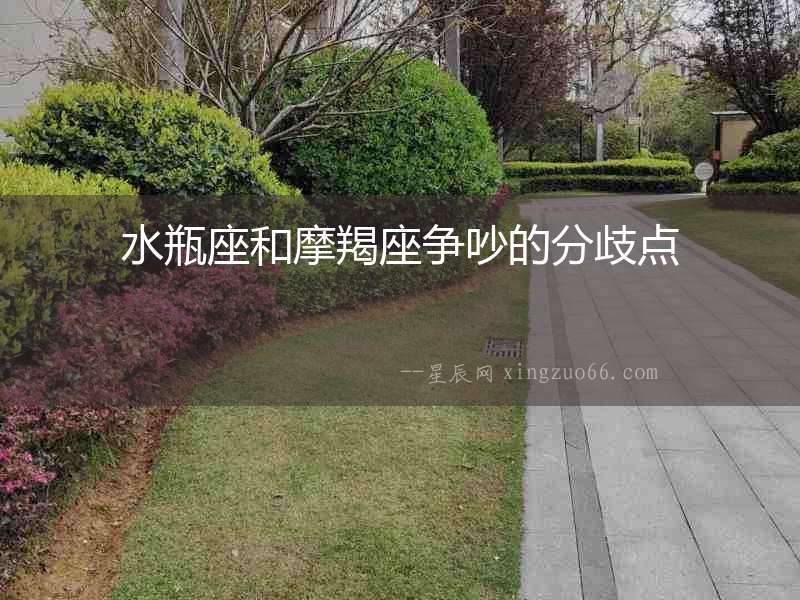 水瓶座和摩羯座爭(zhēng)吵的分歧點(diǎn)