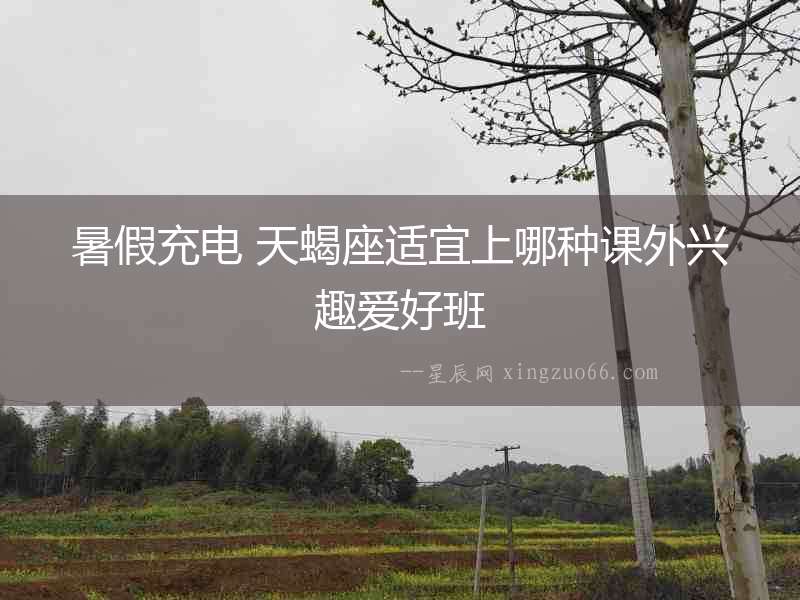 暑假充電 天蝎座適宜上哪種課外興趣愛好班