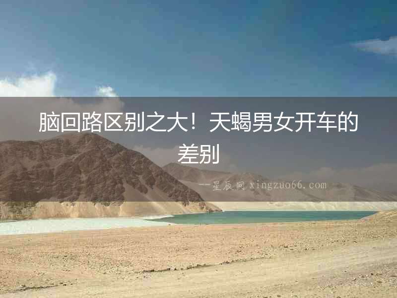 腦回路區別之大！天蝎男女開車的差別