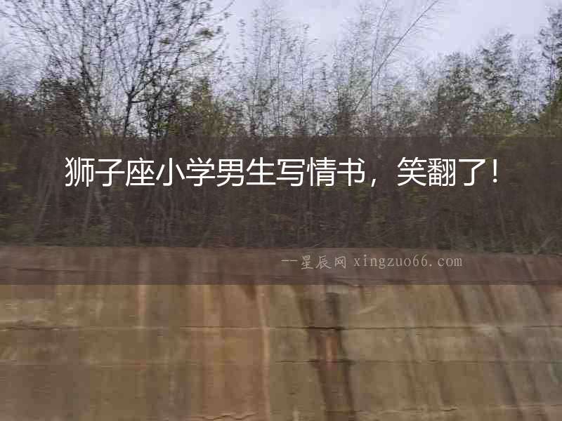 獅子座小學男生寫情書，笑翻了！