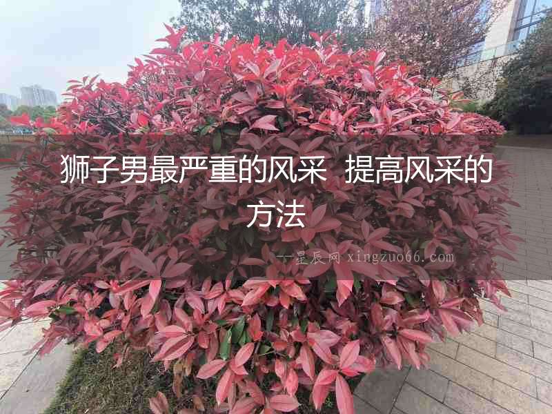 獅子男最嚴重的風采  提高風采的方法