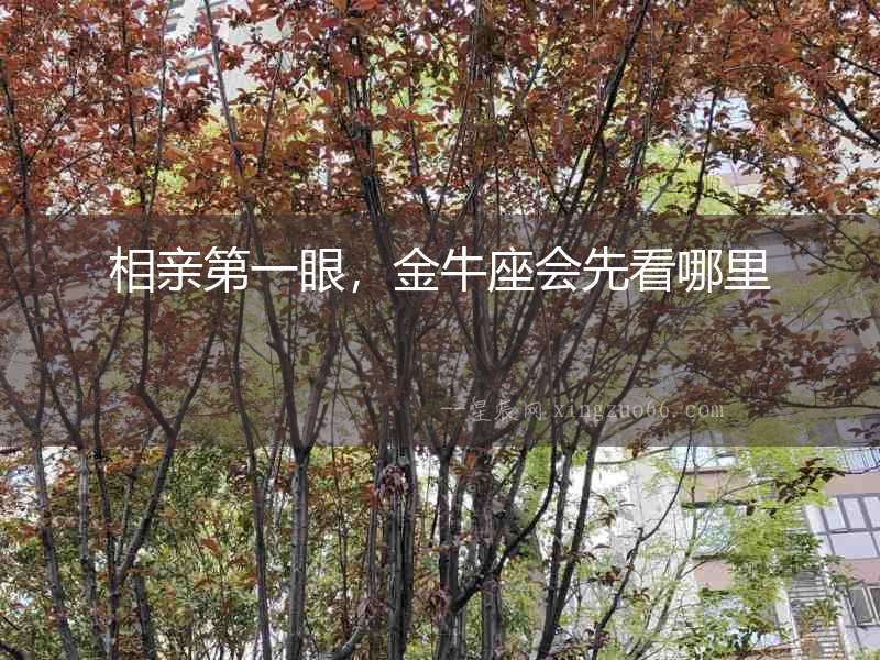 相親第一眼，金牛座會(huì)先看哪里
