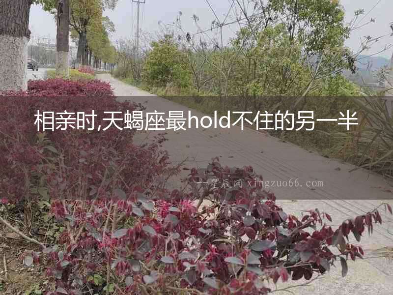 相親時,天蝎座最hold不住的另一半