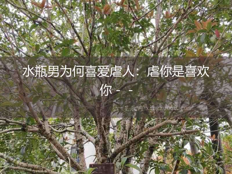 水瓶男為何喜愛(ài)虐人：虐你是喜歡你－－