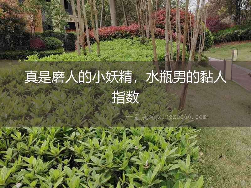 真是磨人的小妖精，水瓶男的黏人指數(shù)