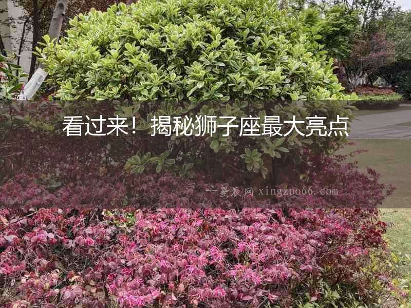 看過來！揭秘獅子座最大亮點