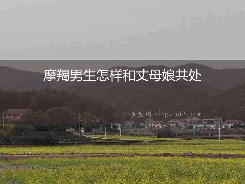 摩羯男生怎樣和丈母娘共處