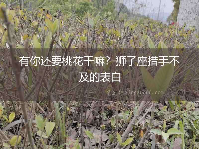 有你還要桃花干嘛？獅子座措手不及的表白
