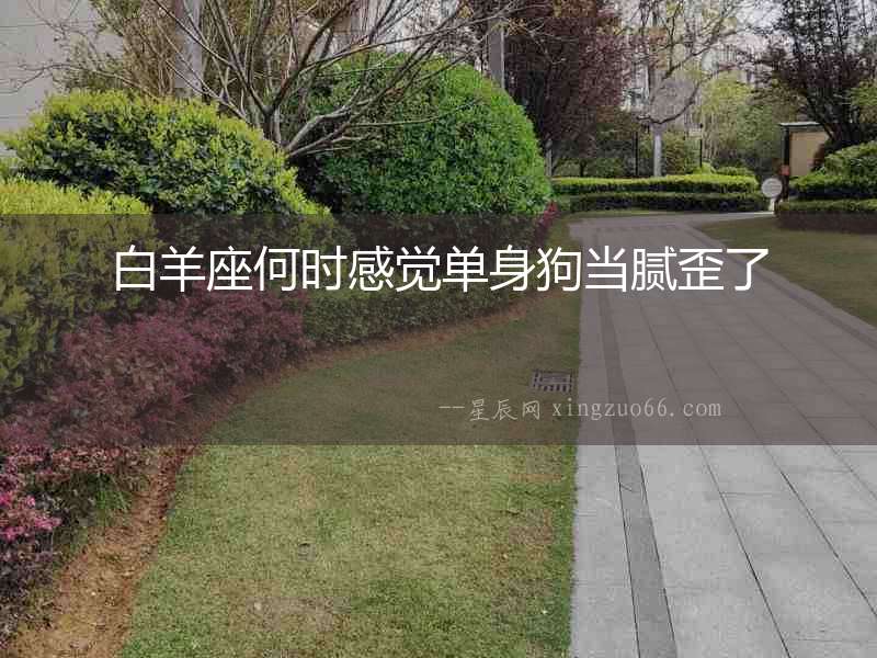 白羊座何時感覺單身狗當(dāng)膩歪了