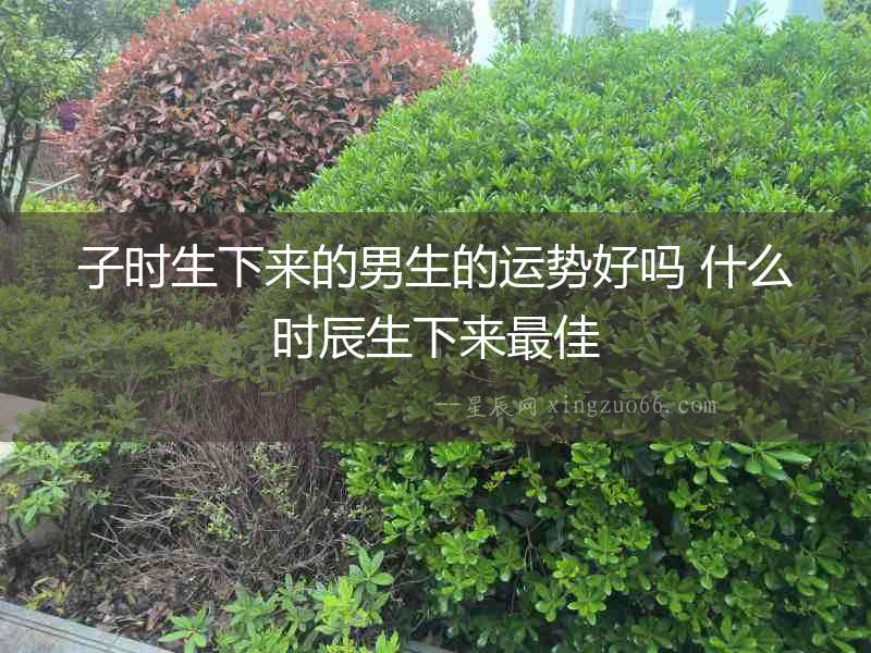 子時(shí)生下來的男生的運(yùn)勢(shì)好嗎 什么時(shí)辰生下來最佳