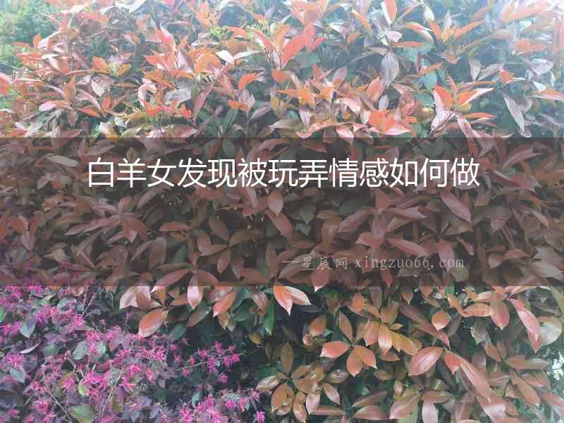 白羊女發現被玩弄情感如何做