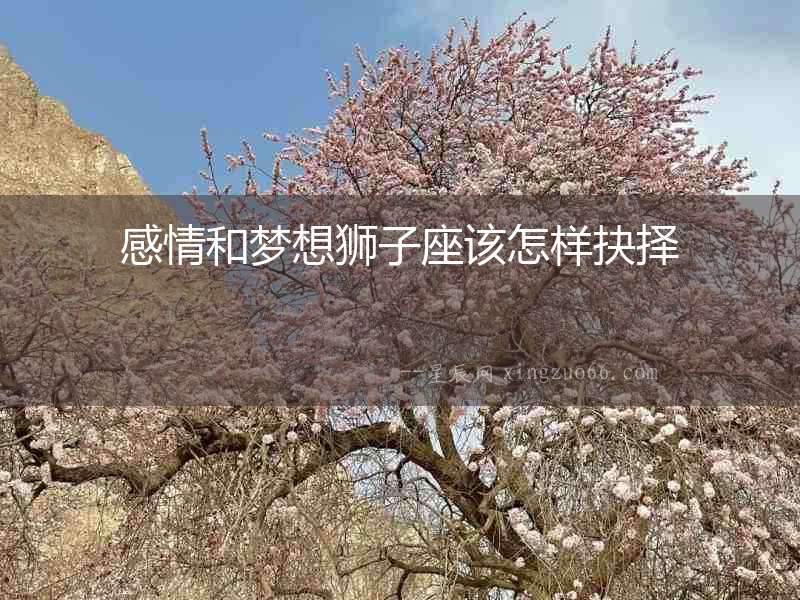感情和夢想獅子座該怎樣抉擇