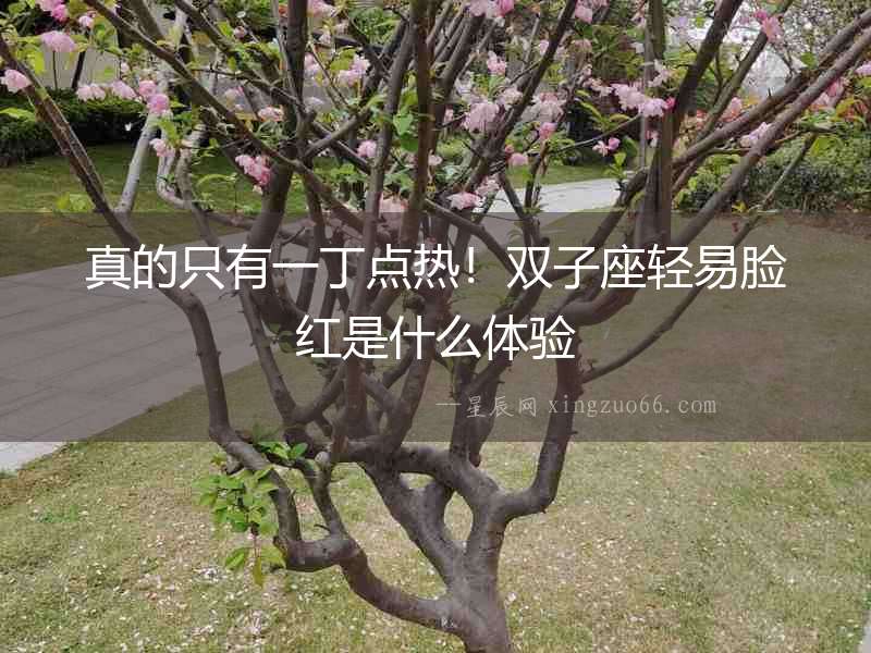 真的只有一丁點熱！雙子座輕易臉紅是什么體驗