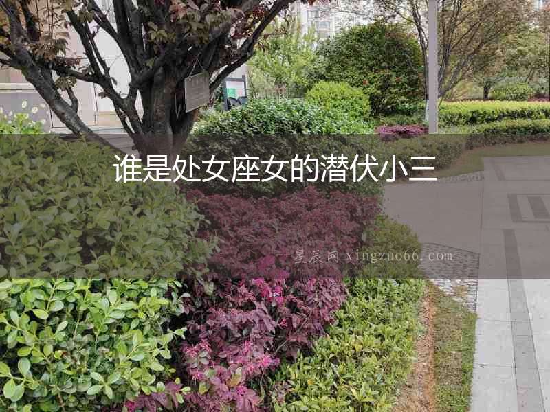 誰是處女座女的潛伏小三